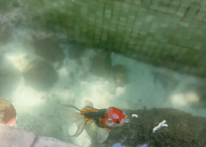 Arunda Luxury Boutique Casa vacanze Ronda