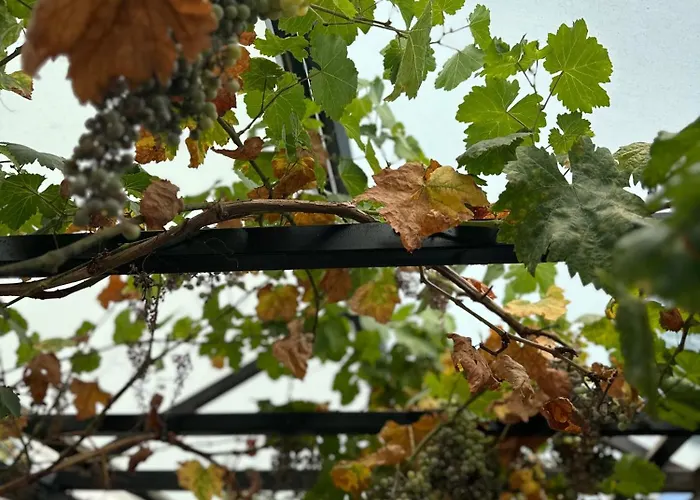 Arunda Luxury Boutique * Ronda